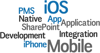 Native iOS, iOS app development, iPhone application, mobile PMS, mobile SharePoint integration
