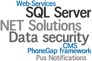 PhoneGap framework, Web Services, Data security, Push Notifications, .NET Solutions,  SQL Server, CMS